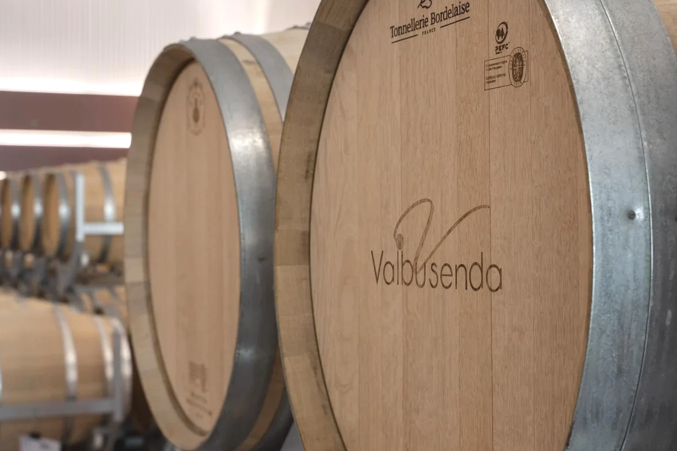 Bodega premium del Valbusenda Hotel Bodega & Spa en Toro