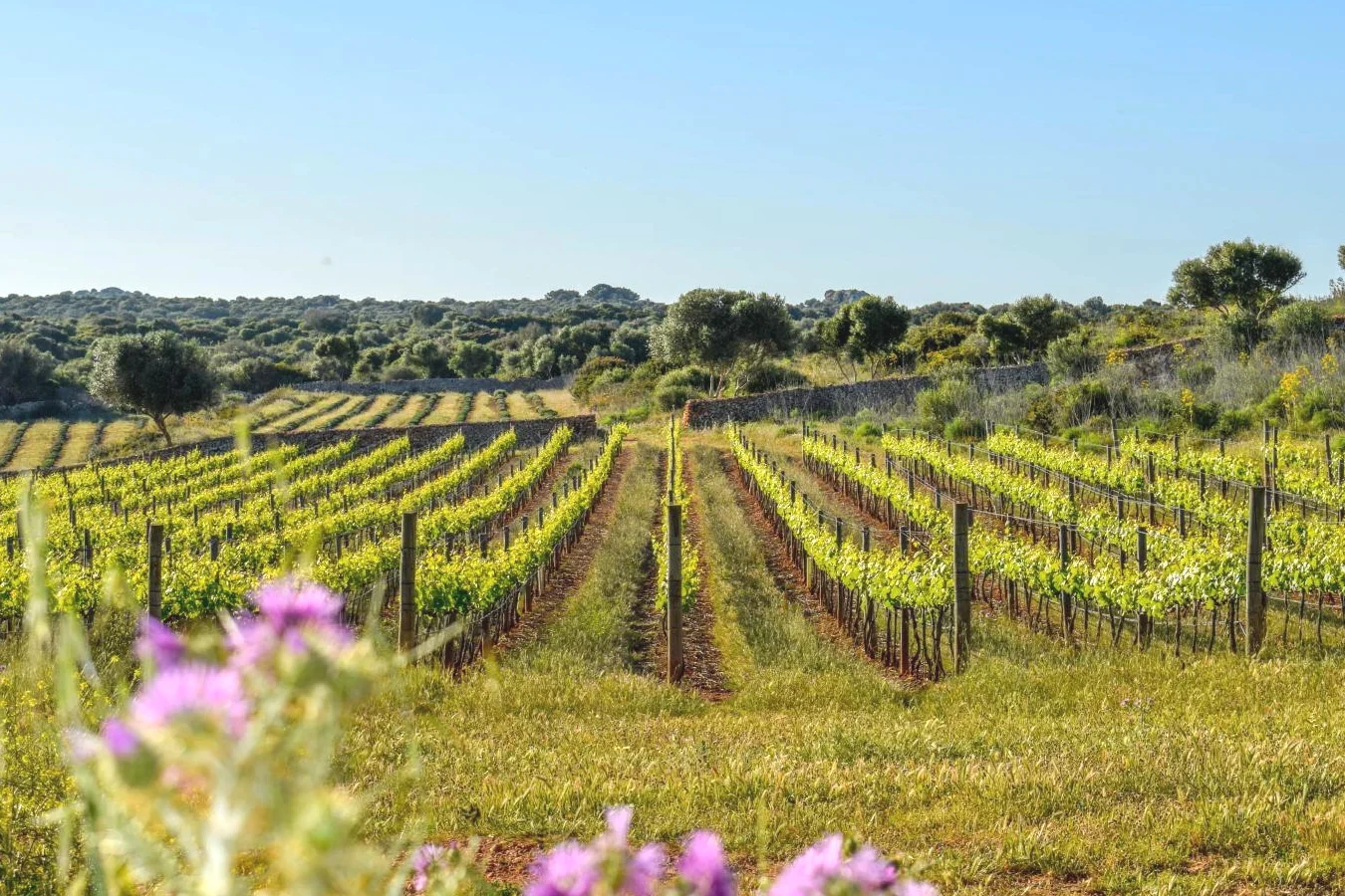 Ubicación Privilegiada en Menorca